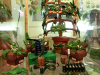 Headshop3