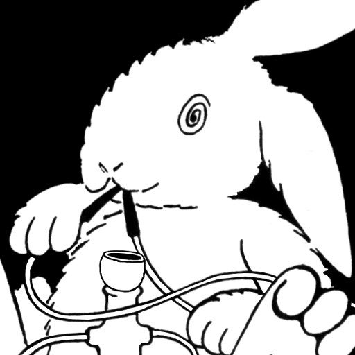 (c) Headshop-white-rabbit.de